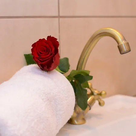 Angiolina Sea View *